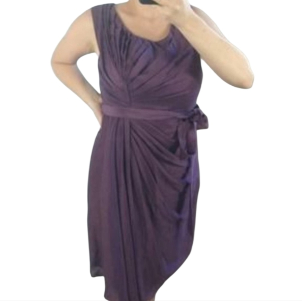 Anthropologie‎ Quillaree purple pleated detail belted knee length dress size 10